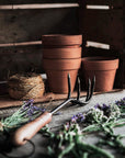 Backyard Gardener Set