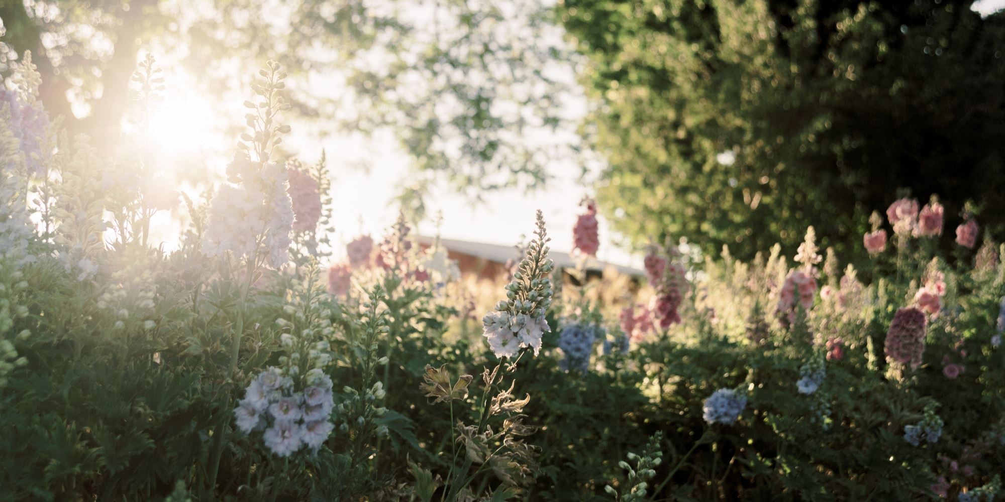 Meet The Sustainable Flower Farmers at Florage Farm