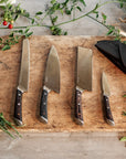 Culinary Knife 4-Piece Set