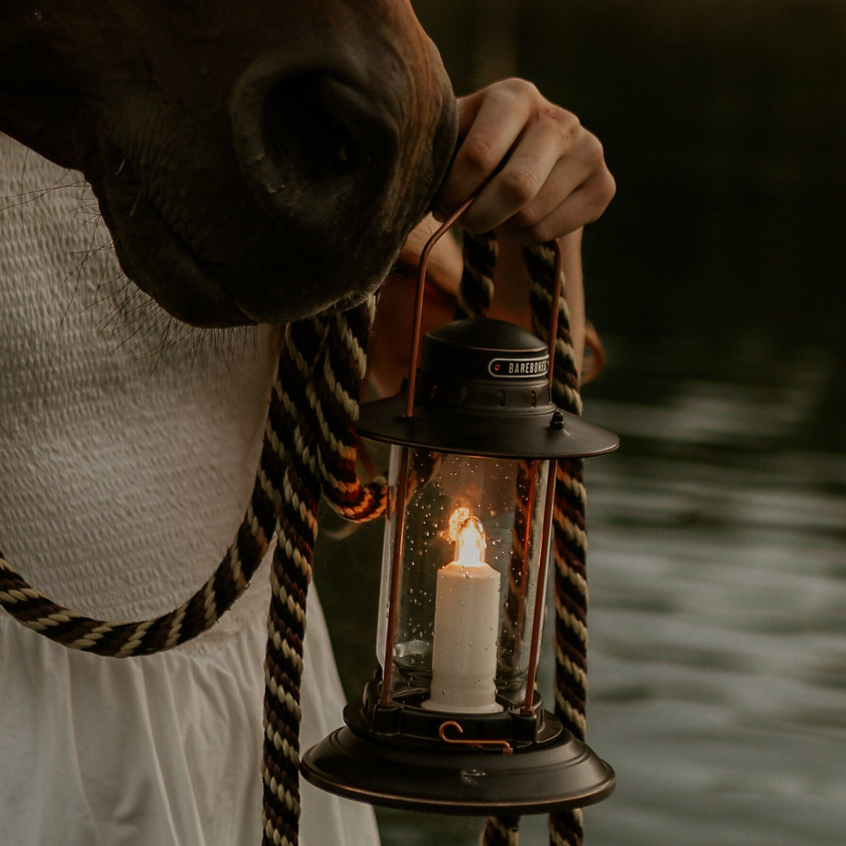 Hurricane Lantern Bundle