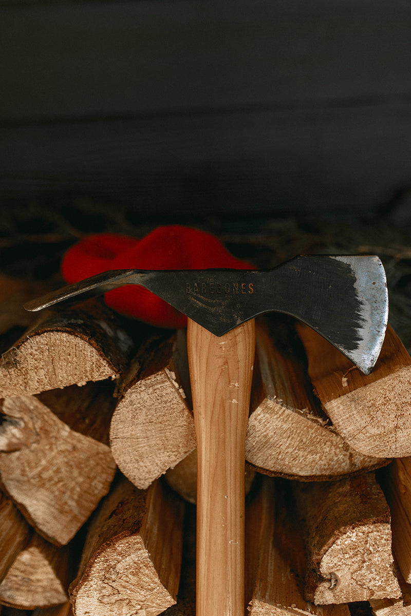 Ax leaning against a stack of firewood with a blurred background