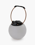 Multi-Colored Globe Light