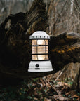 Forest Lantern - Vintage White